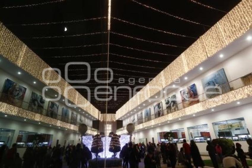 BUAP . ENCENDIDO ÁRBOL NAVIDEÑO