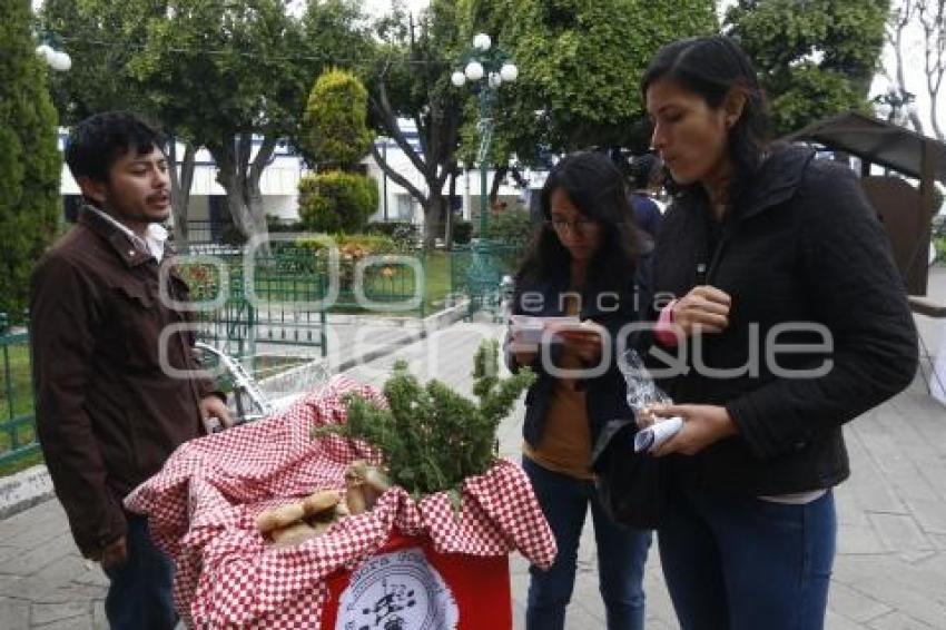 FESTIVAL GASTRONÓMICO . CHOLULA