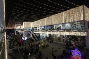 BUAP . ENCENDIDO ÁRBOL NAVIDEÑO