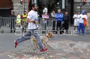 CARRERA INTERNACIONAL DEL MIGRANTE