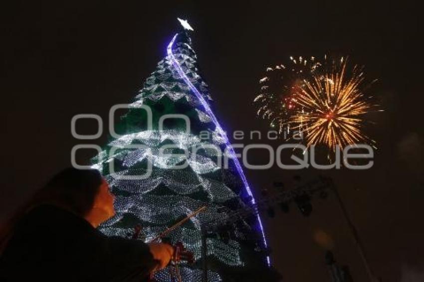 BUAP . ENCENDIDO ÁRBOL NAVIDEÑO