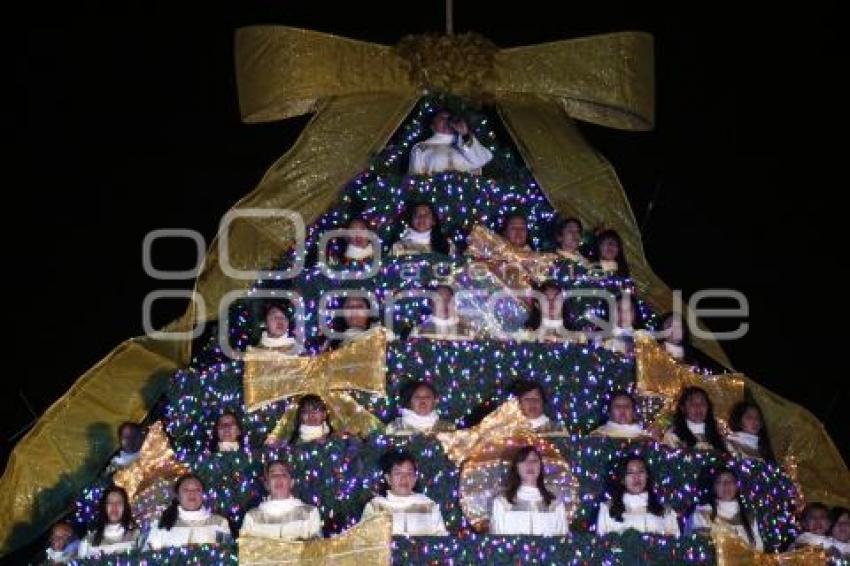 BUAP . ENCENDIDO ÁRBOL NAVIDEÑO