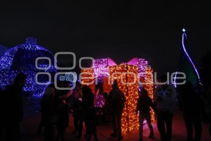 BUAP . ENCENDIDO ÁRBOL NAVIDEÑO