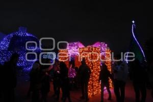 BUAP . ENCENDIDO ÁRBOL NAVIDEÑO