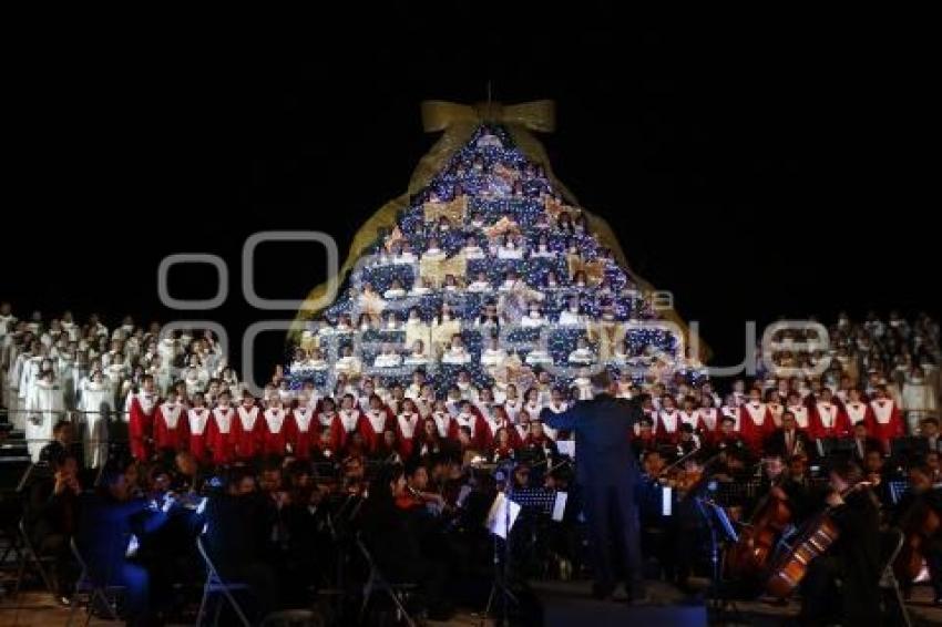 BUAP . ENCENDIDO ÁRBOL NAVIDEÑO