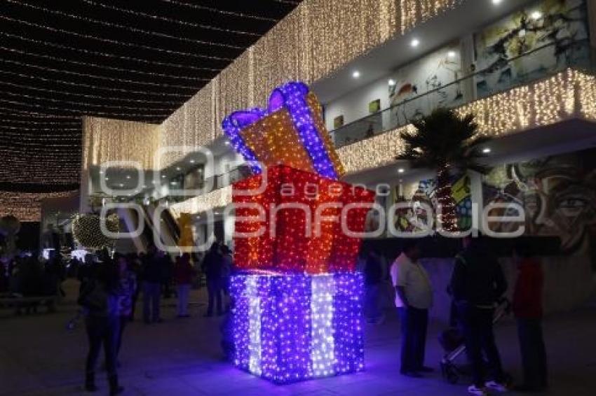 BUAP . ENCENDIDO ÁRBOL NAVIDEÑO