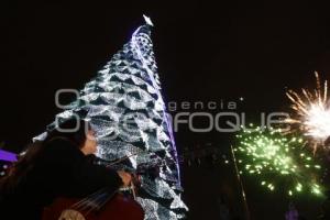 BUAP . ENCENDIDO ÁRBOL NAVIDEÑO