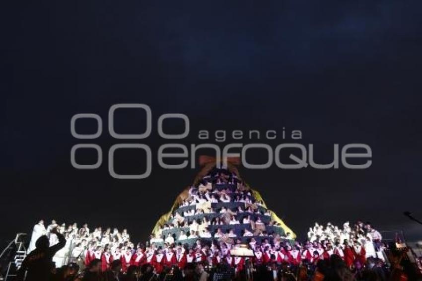 BUAP . ENCENDIDO ÁRBOL NAVIDEÑO