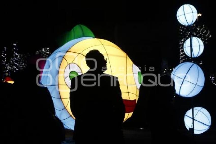 BUAP . ENCENDIDO ÁRBOL NAVIDEÑO