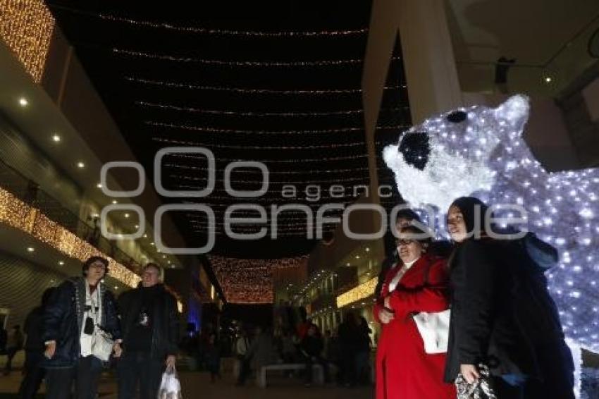 BUAP . ENCENDIDO ÁRBOL NAVIDEÑO