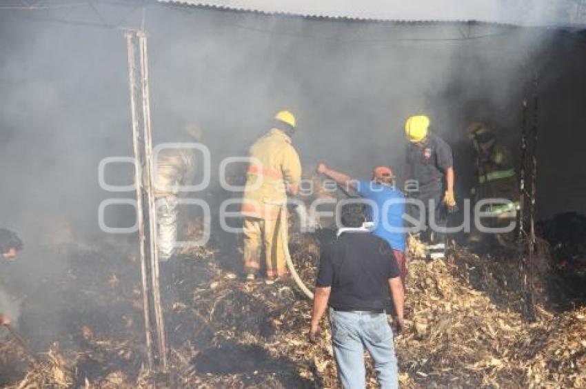 INCENDIO EN TEHUACÁN