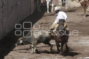 CHARRERIA TORNEO NAVIDEÑO