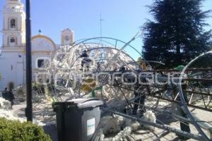 CAE ÁRBOL DE CHIGNAHUAPAN