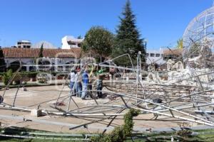 CAE ÁRBOL DE CHIGNAHUAPAN