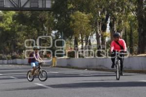 VÍA RECREATIVA METROPOLITANA