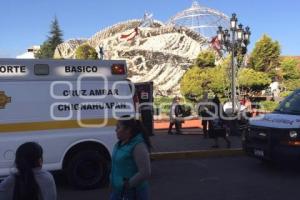 CAE ÁRBOL DE CHIGNAHUAPAN