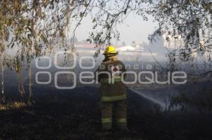 INCENDIOS EN TEXMELUCAN