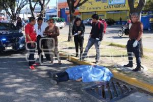 ATROPELLADO MUERTO BULEVAR NORTE