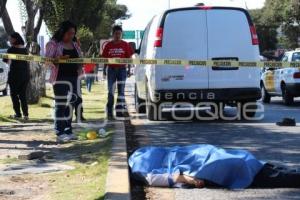 ATROPELLADO MUERTO BULEVAR NORTE