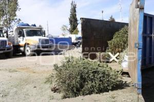 RECICLAJE ÁRBOLES NAVIDEÑOS