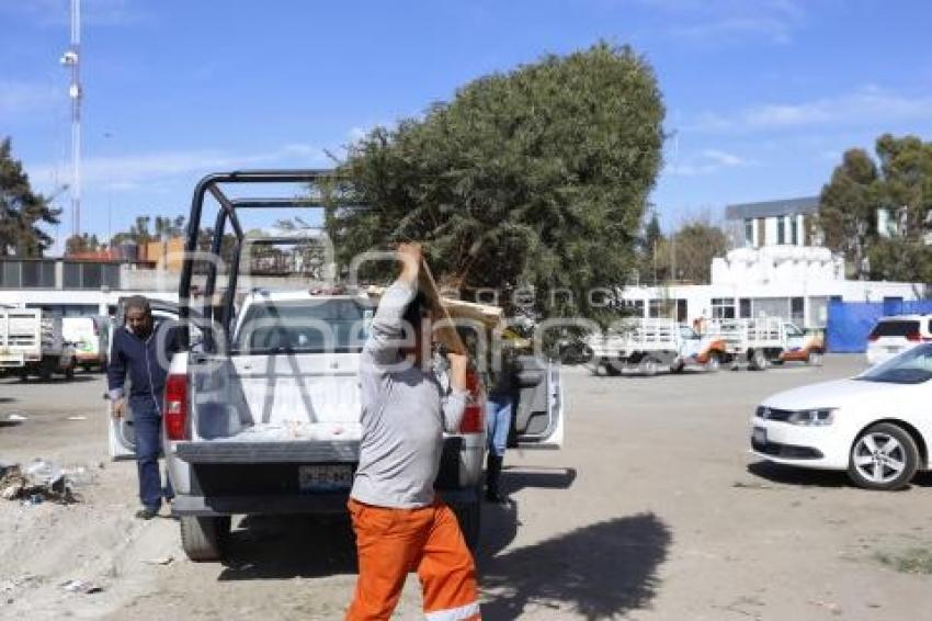 RECICLAJE ÁRBOLES NAVIDEÑOS