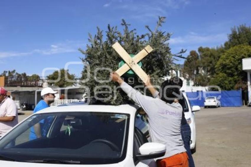 RECICLAJE ÁRBOLES NAVIDEÑOS