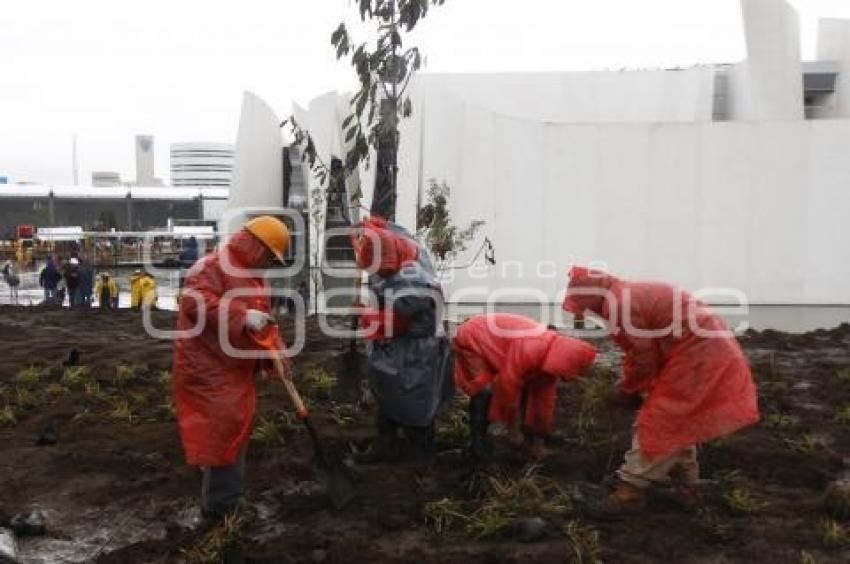 QUINTO INFORME DE GOBIERNO . PREPARATIVOS