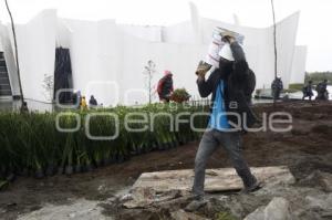 QUINTO INFORME DE GOBIERNO . PREPARATIVOS