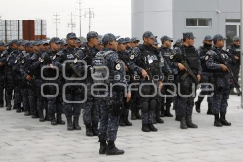 GENDARMERÍA