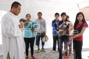 BENDICIÓN DE MASCOTAS