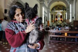 BENDICIÓN DE MASCOTAS