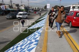 PAVIMENTACIÓN CARRETERA PUEBLA AMOZOC