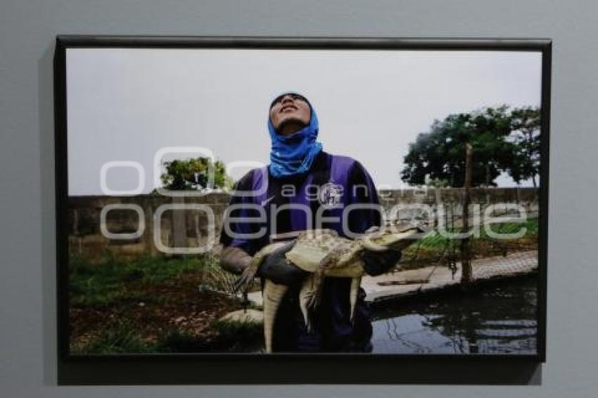 WORLD PRESS PHOTO