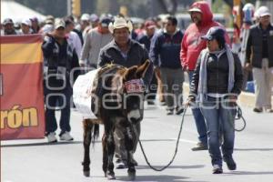 ANTORCHA CAMPESINA . MANIFESTACIÓN 