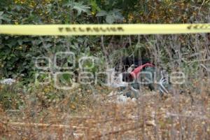 MUERTO POR PICADURAS DE ABEJAS