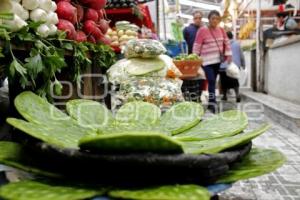 ECONOMÍA . NOPALES