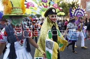 DESFILE DE HUEHUES