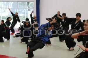 SEMINARIO INTERNACIONAL HAPKIDO