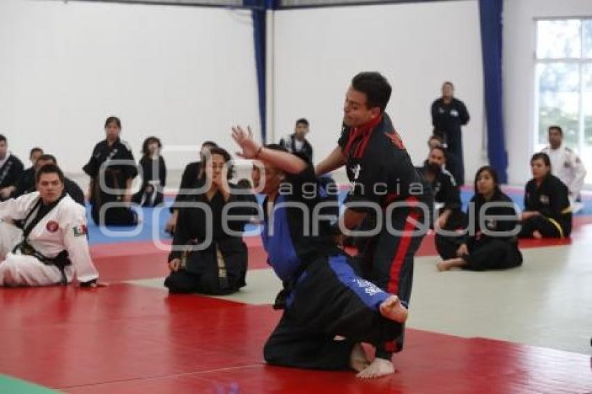 SEMINARIO INTERNACIONAL HAPKIDO