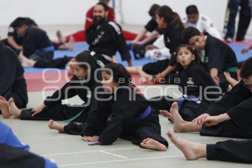 SEMINARIO INTERNACIONAL HAPKIDO