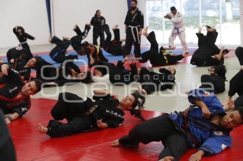 SEMINARIO INTERNACIONAL HAPKIDO