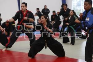 SEMINARIO INTERNACIONAL HAPKIDO