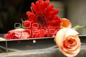 VENTA DE FLORES