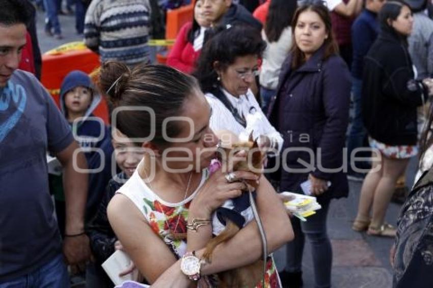 LIBRO DE A BESO