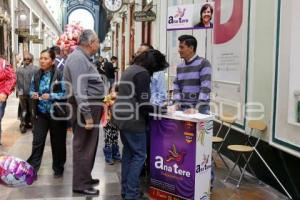 FIRMAS EN APOYO DE ANA TERE ARANDA