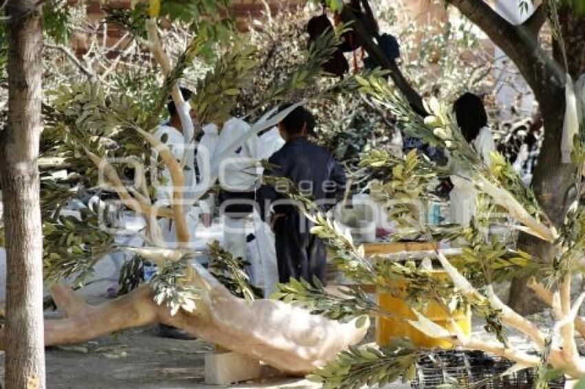 ÁRBOL ARTIFICIAL . PARQUE ECOLÓGICO