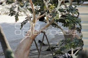 ÁRBOL ARTIFICIAL . PARQUE ECOLÓGICO 