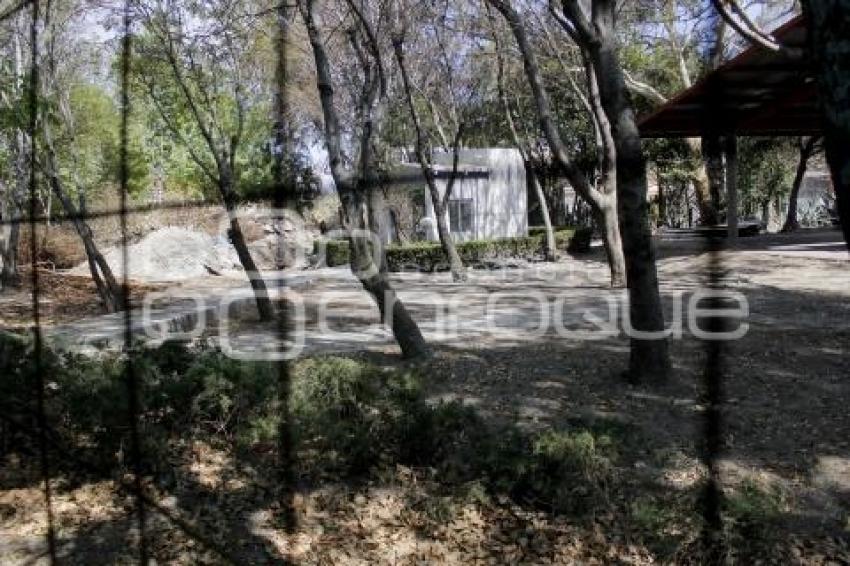 ÁRBOL ARTIFICIAL . PARQUE ECOLÓGICO