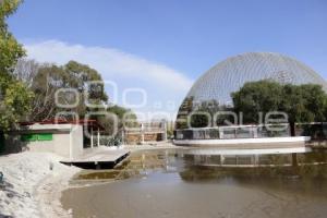 ÁRBOL ARTIFICIAL . PARQUE ECOLÓGICO 