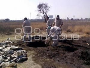 TOMA CLANDESTINA SAN FRANCISCO OCOTLÁN